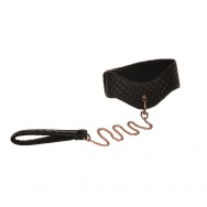 Ошейник с поводком Entice Posture Collar with Leash