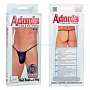 Мужские трусы с кольцом Adonis Mesh Pouch M/L